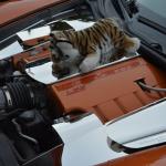 OTRA2013_1684 (July 18, 2013)